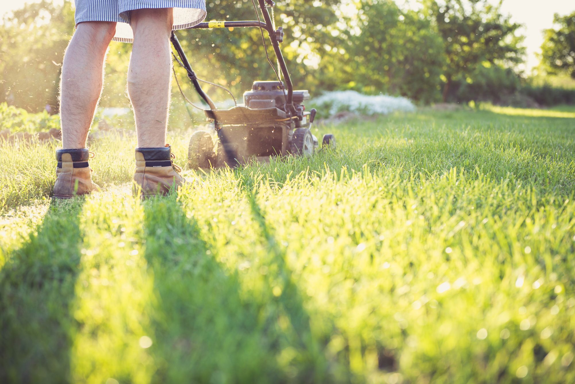 Someone mowing a lawn with a push mower on a sunny day